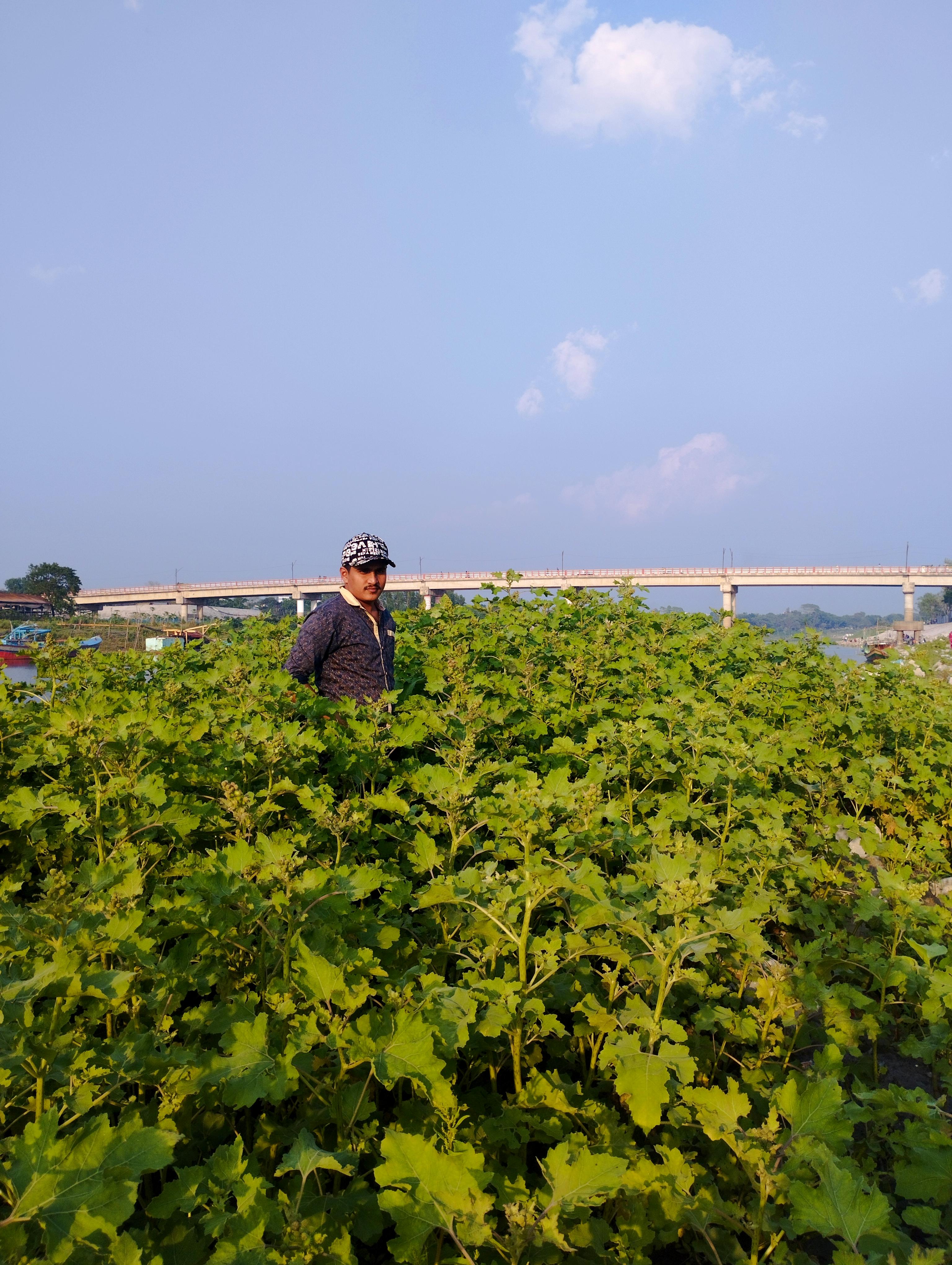 Dhemaji Matrimony(23972)