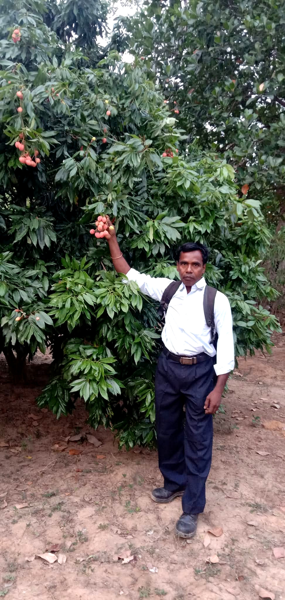 Purulia Matrimony(26540)